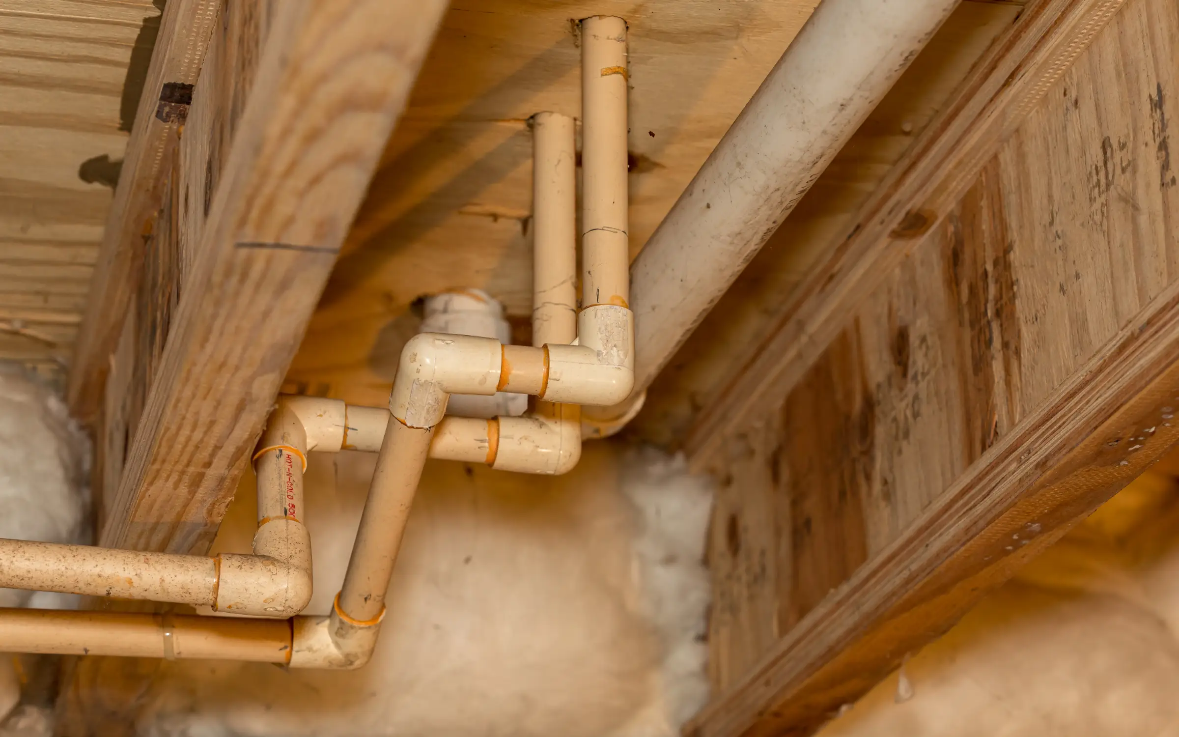 A crawlspace in Maryland with moisture causing mold, requiring mold remediation