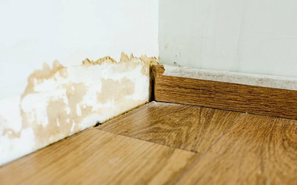 Hidden water damage behind baseboard in Maryland