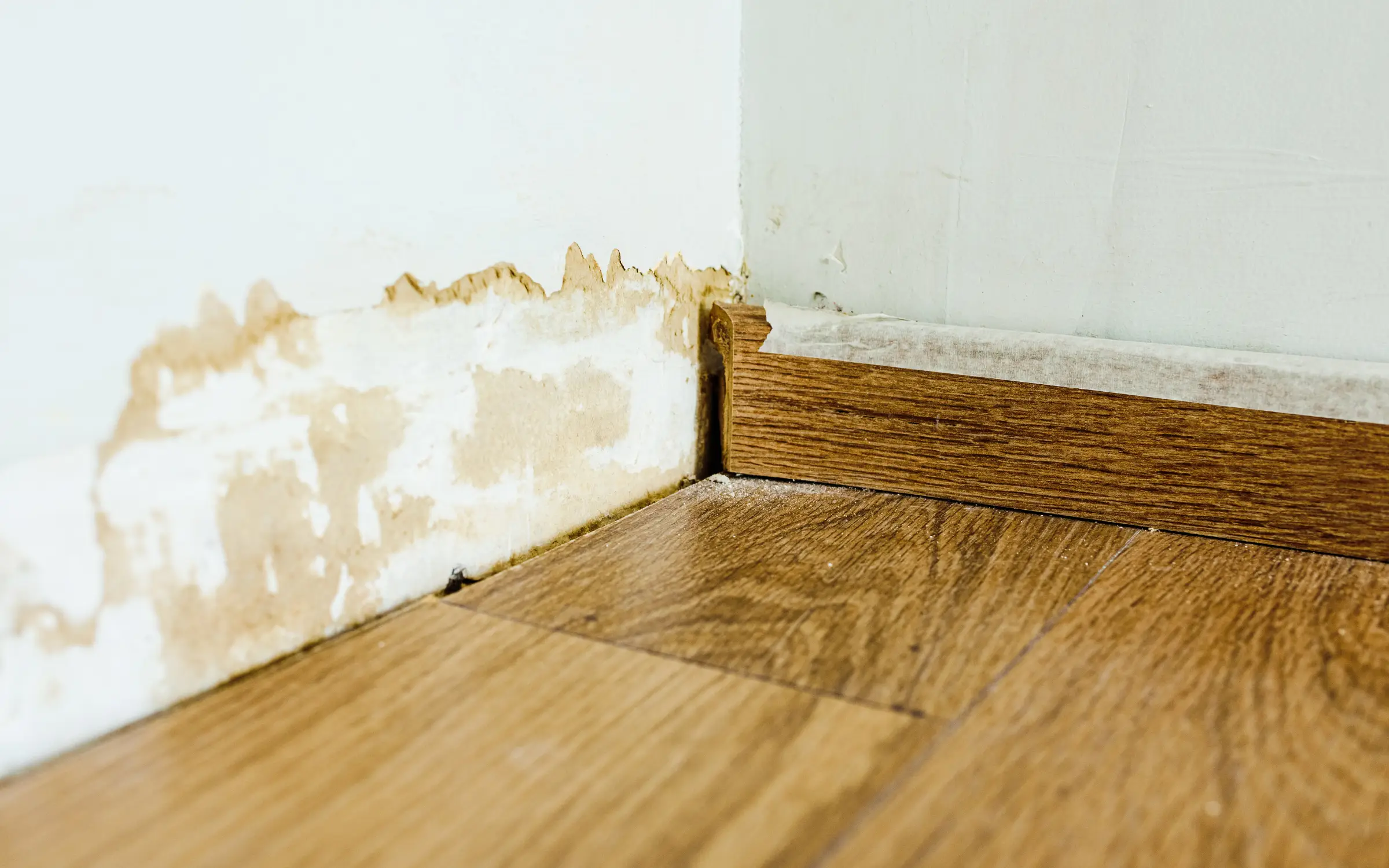 Hidden water damage behind baseboard in Maryland