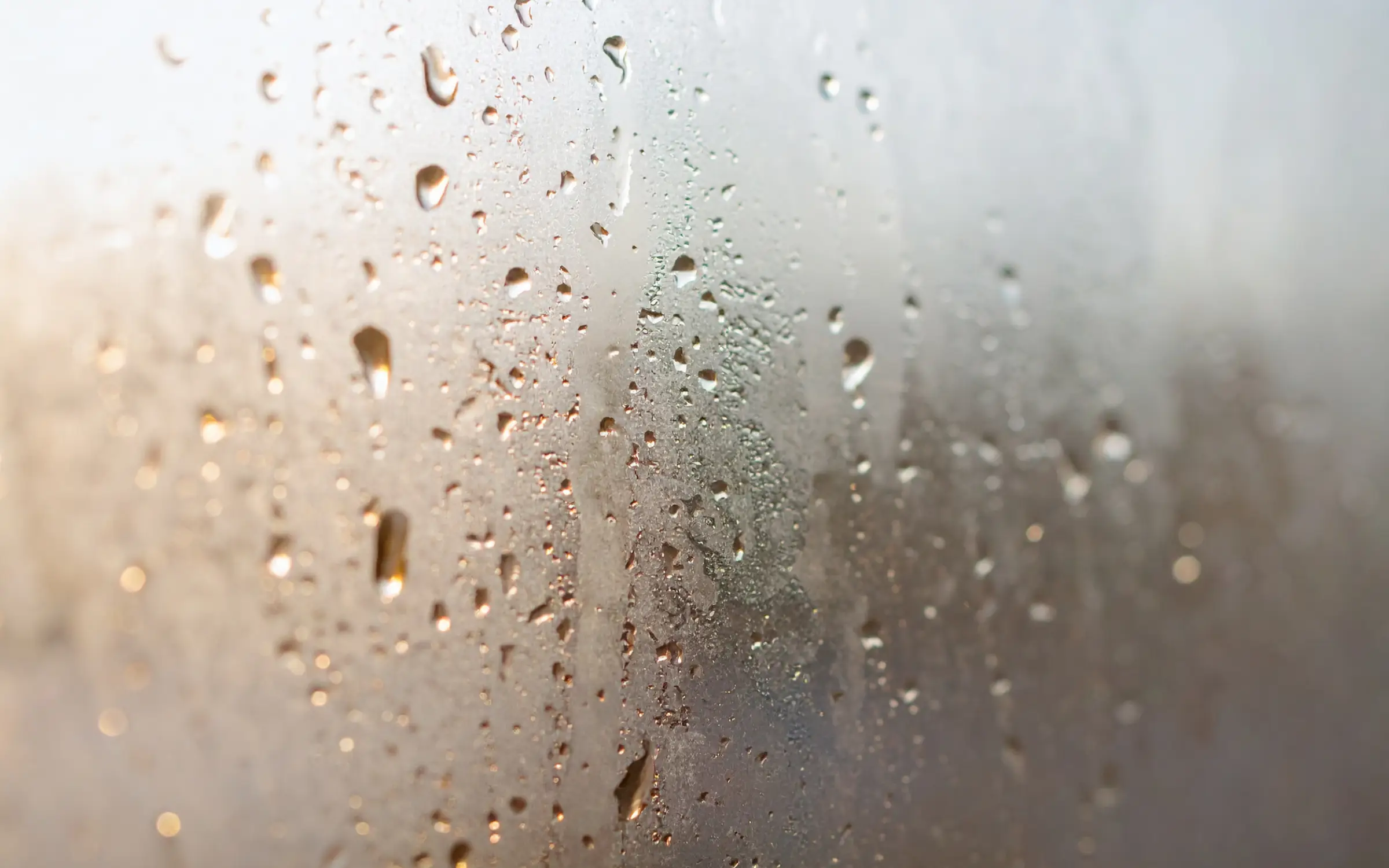 Water droplets on a window, representing humidity causing mold to grow and requiring mold remediation