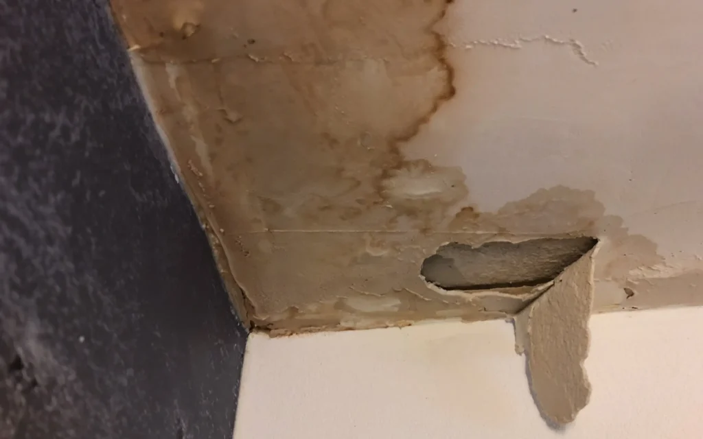 Maryland-water-restoration A leaking ceiling, representing Maryland Water Restoration