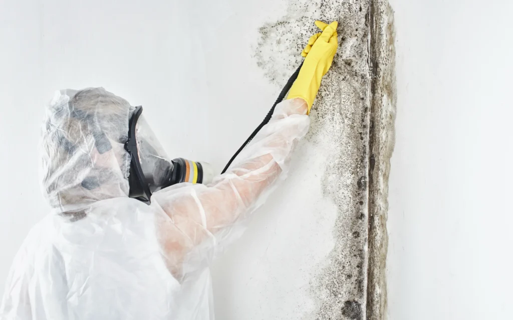 A person in full PPE undertaking significant mold remediation in the corner of a room