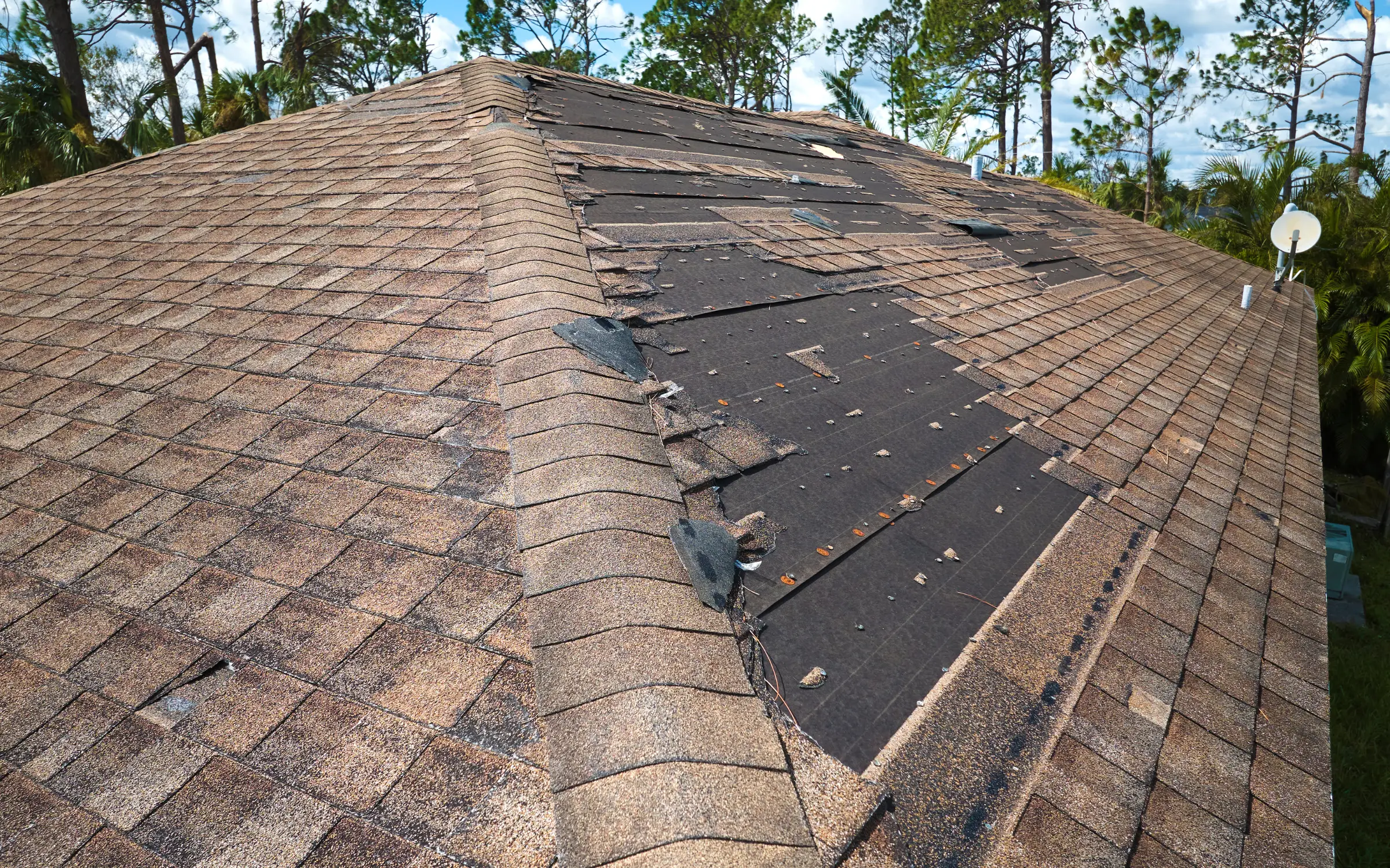 Shingles blown off a roof in Maryland causing a roof leak and requiring remediation and restoration services