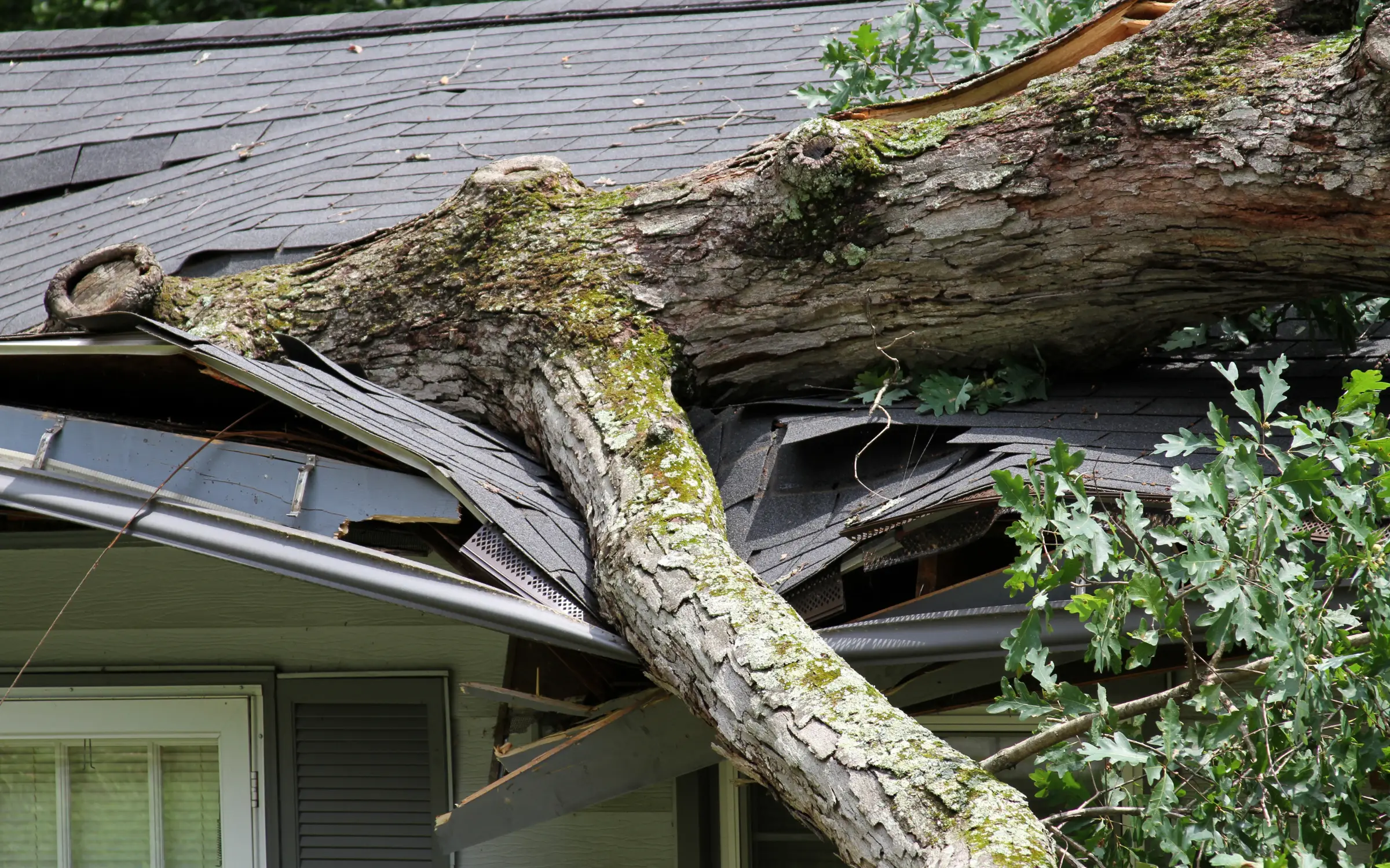A roof impacted by a tree falling on it, causing roof damage after a storm in Maryland